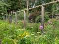 Property photo 50