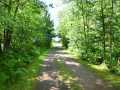 Property photo 45