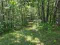 Property photo 52