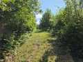 Property photo 53