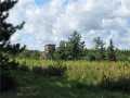 Property photo 54