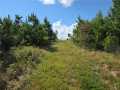 Property photo 55