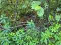 Property photo 57