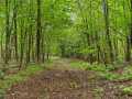 Property photo 52
