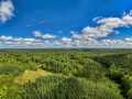 Property photo 57