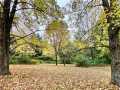 Property photo 35