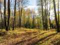 Property photo 26