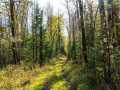 Property photo 43
