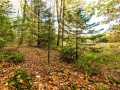 Property photo 46