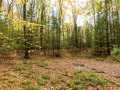 Property photo 49