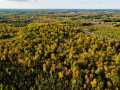 Property photo 50
