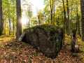 Property photo 56