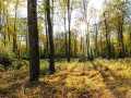 Property photo 57
