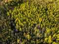 Property photo 59
