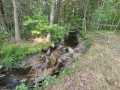 Property photo 47