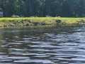 Property photo 50
