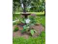 Property photo 51