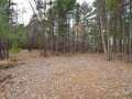 Property photo 50
