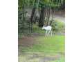 Property photo 56
