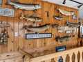 Property photo 58