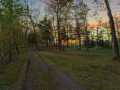 Property photo 50