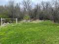 Property photo 55