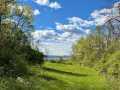 Property photo 50