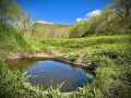 Property photo 51