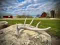 Property photo 54