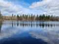 Property photo 43