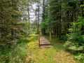 Property photo 51