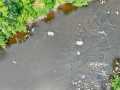 Property photo 54