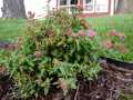 Property photo 60