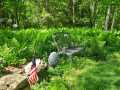 Property photo 49