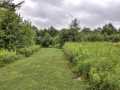 Property photo 56