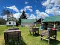 Property photo 42
