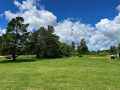 Property photo 46