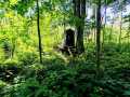Property photo 48