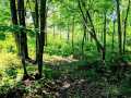 Property photo 50