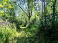Property photo 52