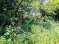 Property photo 53
