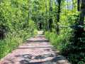 Property photo 54