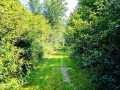 Property photo 57