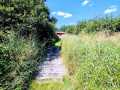Property photo 58