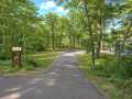 Property photo 59