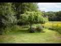 Property photo 48