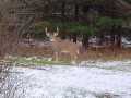 Property photo 54