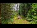 Property photo 53