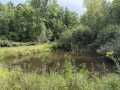 Property photo 51
