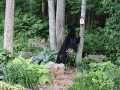 Property photo 57